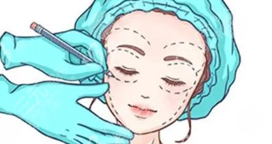 面部轮廓