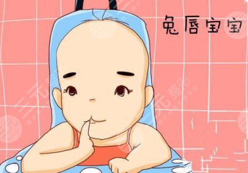治疗兔唇的费用大概是多少？